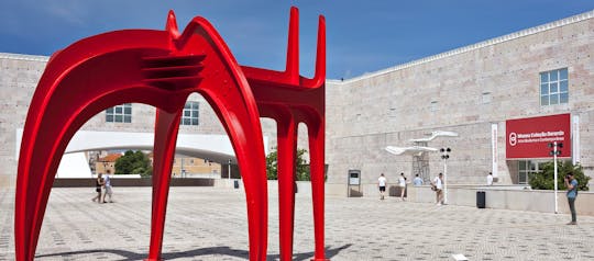 Biglietti d'ingresso al Museo della Collezione Berardo