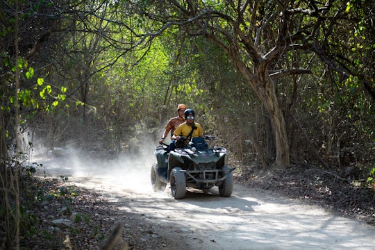 Native Park Puerto Morelos Private Experience