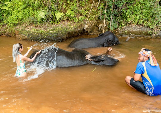 Half Day Elephant Bathing at Welfare Center