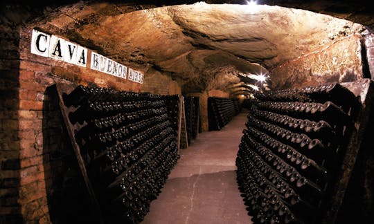 Montserrat tour with visit to Codorniu Wine Cellars