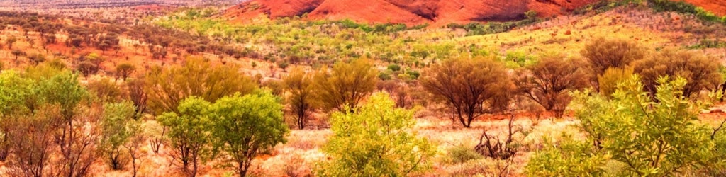 Erlebnisse in Central Australia