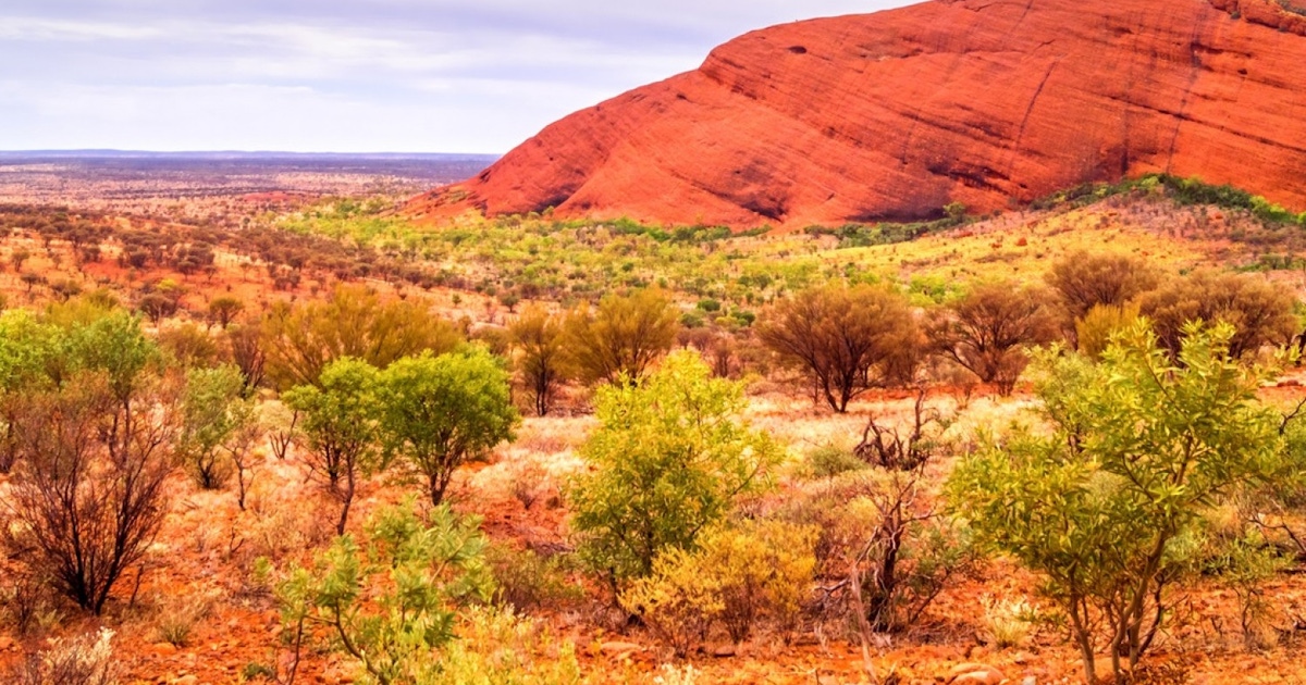 Things to do in Central Australia : Museums and attractions Australia