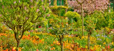 Claude Monet's Home