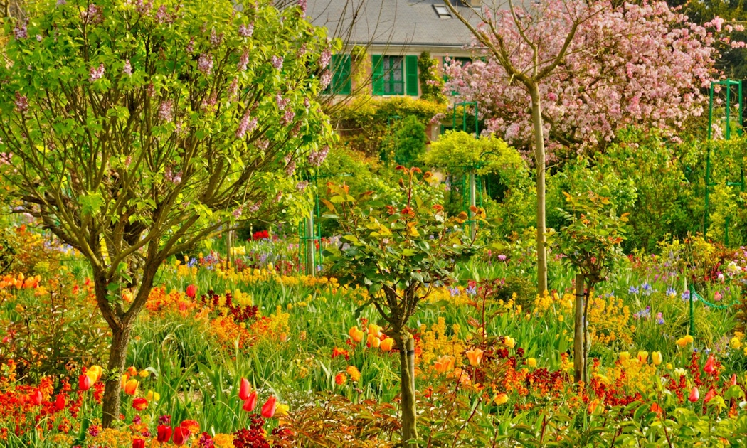 Monet's House and Gardens Tickets Tours in Giverny musement