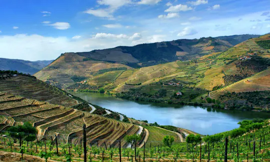 Passeio de dia inteiro no Douro