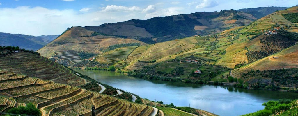 Tour di un'intera giornata al Douro