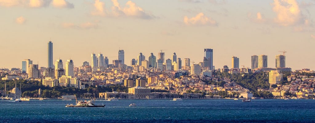 Cruzeiro por Istambul e Bósforo em barco privado - excursão matinal de meio dia