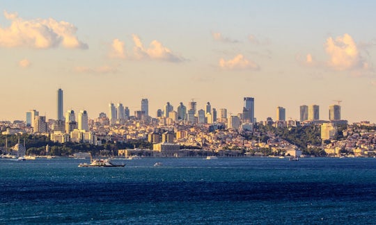 sapanca masukiye kartepe zoo