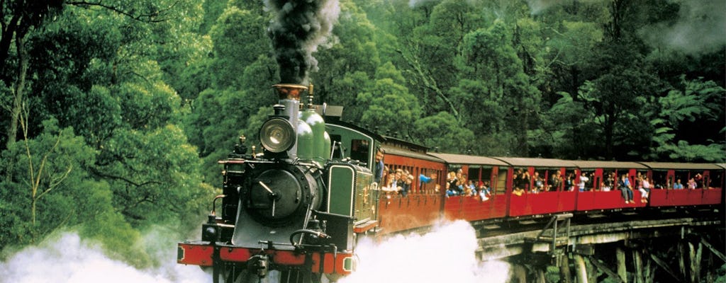Puffende Billy Heritage Steam Train en Dandenong Ranges