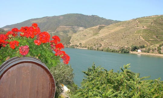 Wine tour of Douro Valley full-day