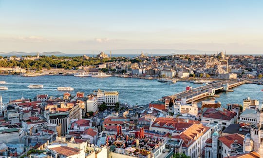 Crucero por Estambul y el Bósforo en barco privado: tour de medio día por la tarde