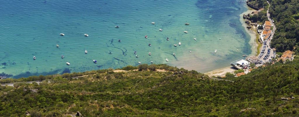 Ruta vinícola por la Arrábida