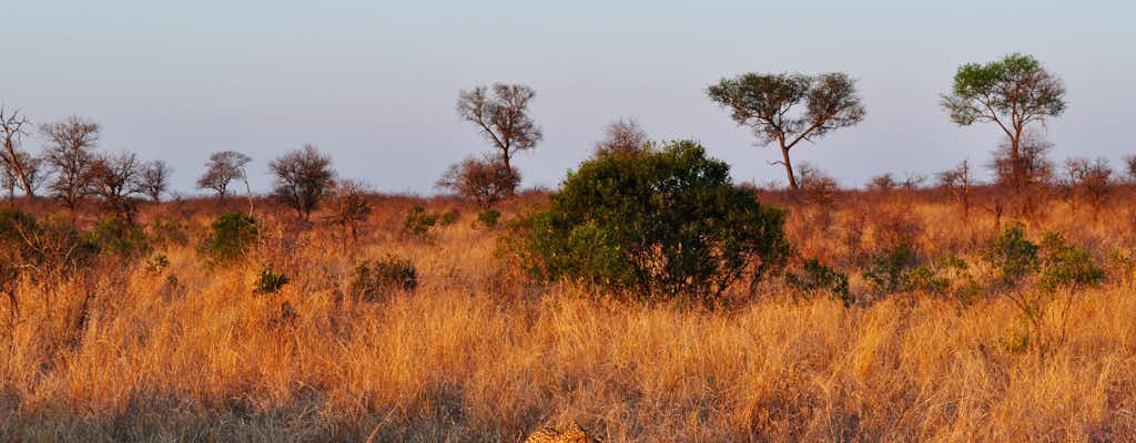 Paul Kruger National Park tickets en tours