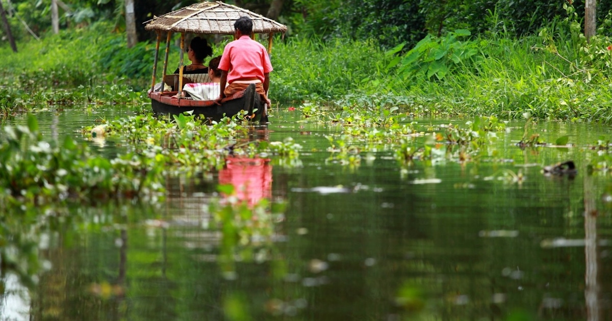 A tryst with the mesmerizing backwaters of Kerala Musement