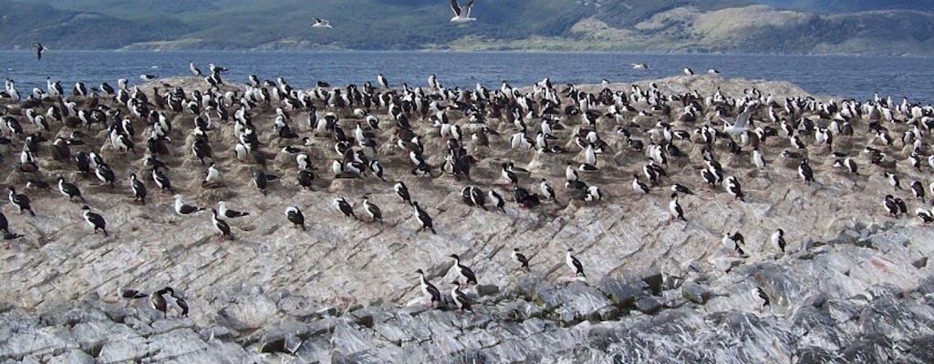 Wycieczka katamaranem na wyspę Penguin i Estancia Harberton z Ushuaia
