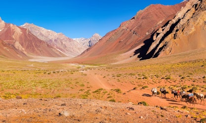 Things to do in Mendoza