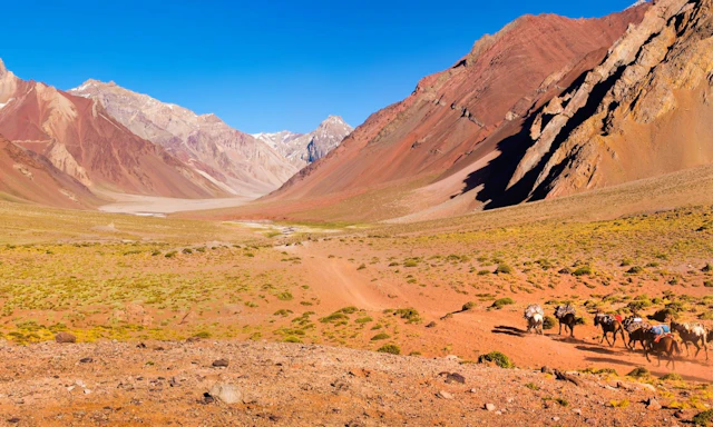 Mendoza, Argentyna