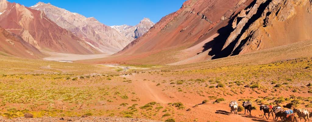 Mendoza tickets and tours