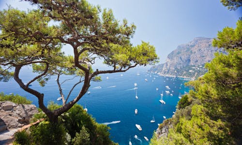 VIP Capri: passeio de dia inteiro de Roma com degustação de Limoncello via trem de alta velocidade