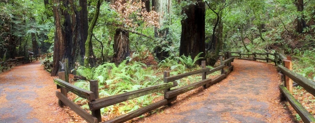 Muir Woods en Sausalito-tour met Bay Cruise