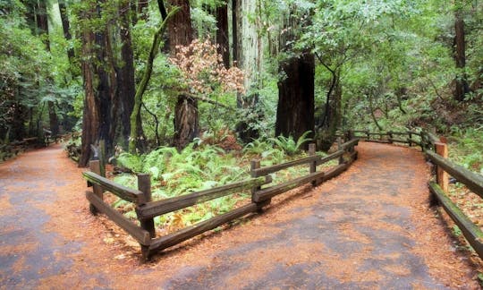 Muir Woods and Sausalito tour with Bay cruise