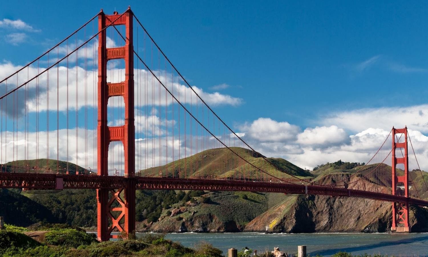 Stadtrundfahrt in San Francisco und Muir Woods kombiniert