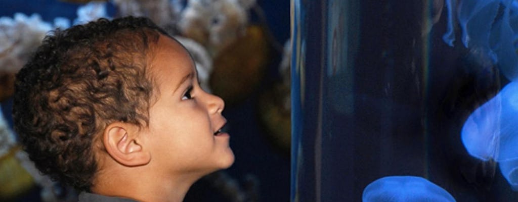 Aquarium of the Bay entrance ticket