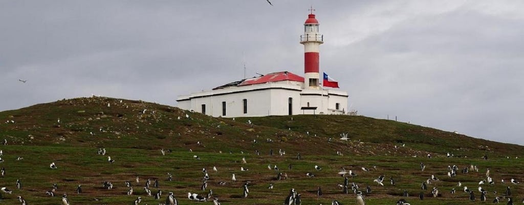 Boottocht naar het eiland Magdalena vanuit Punta Arenas