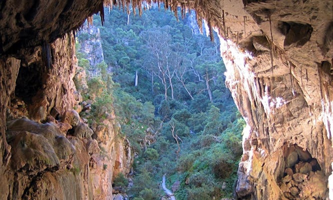 Excursión Jenolan Caves y Blue Mountains