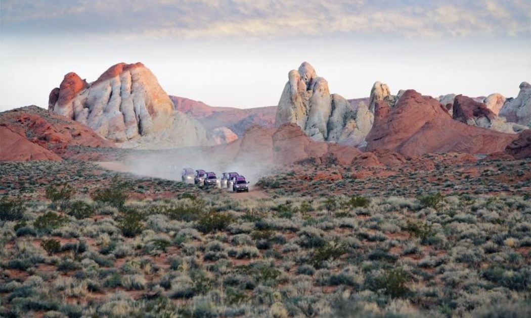 Red Rock Canyon Tour from Las Vegas musement