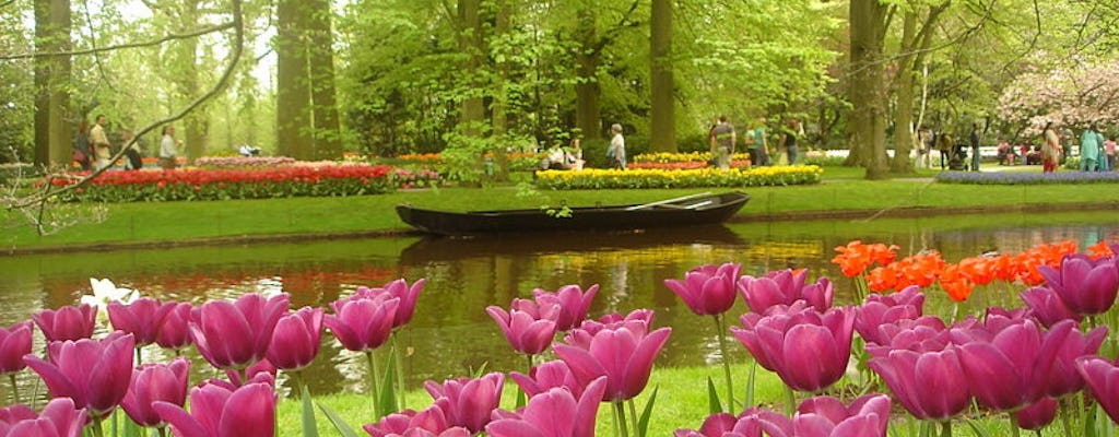 Small-group tour of Keukenhof and tulip fields