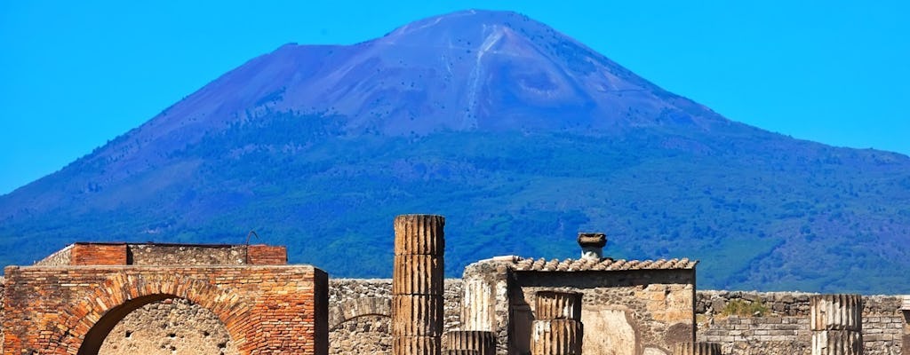 Tour de metade de um dia por Pompeia saindo de Roma em trem de alta velocidade