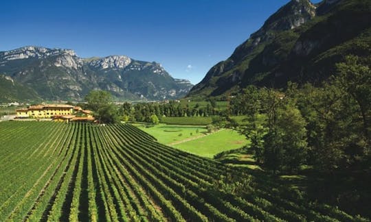 Tenuta San Leonardo and Ferrari spumante: Top Notch Gourmet and Wine Tasting Experience in Trentino