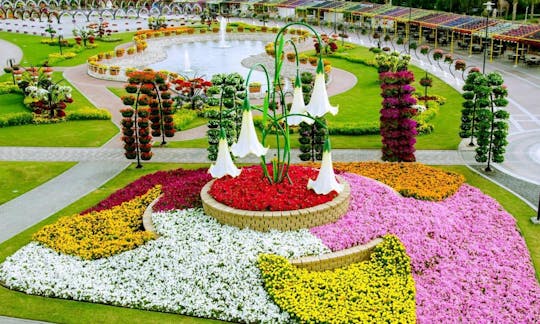 Flora and Fauna tour in Dubai