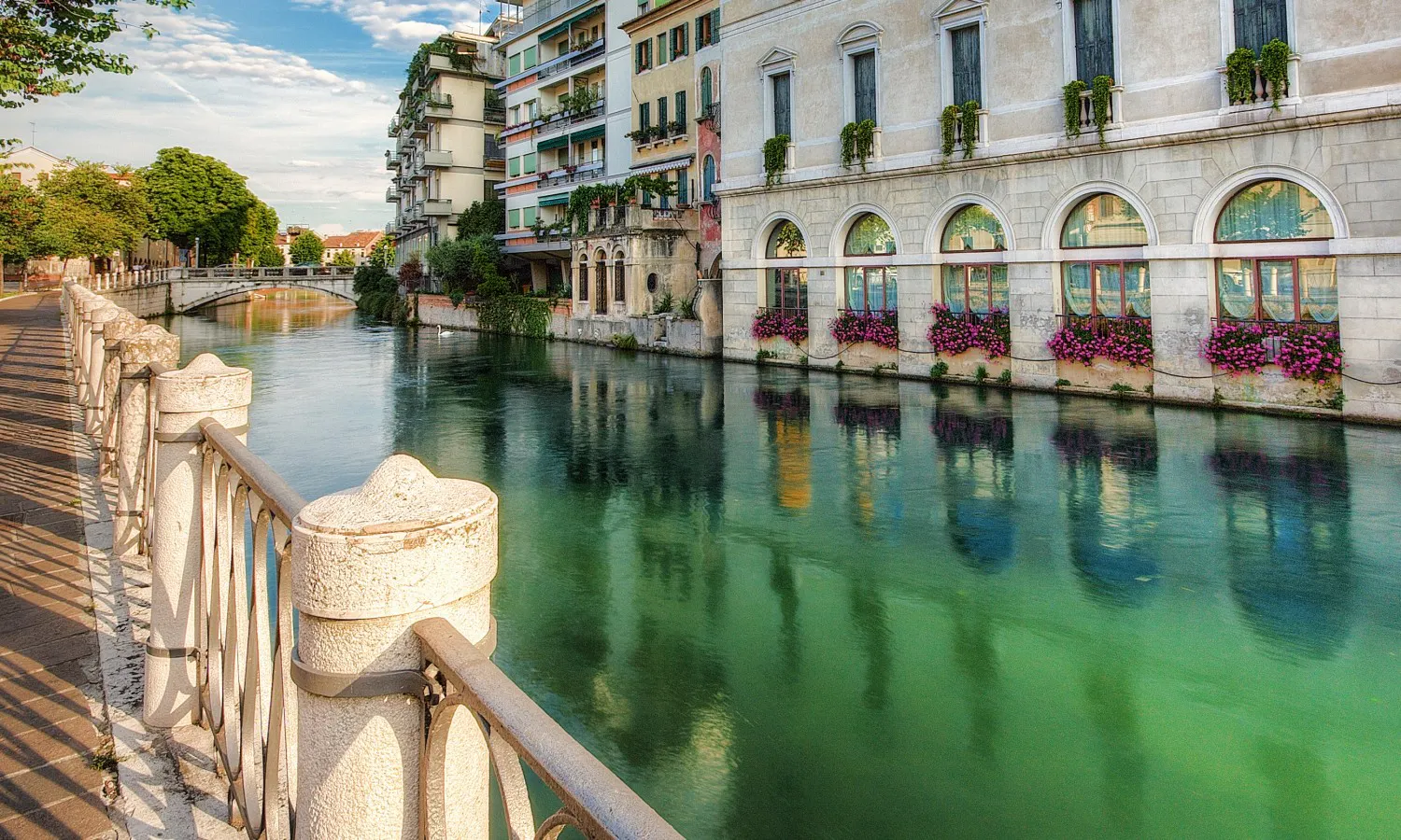 Treviso