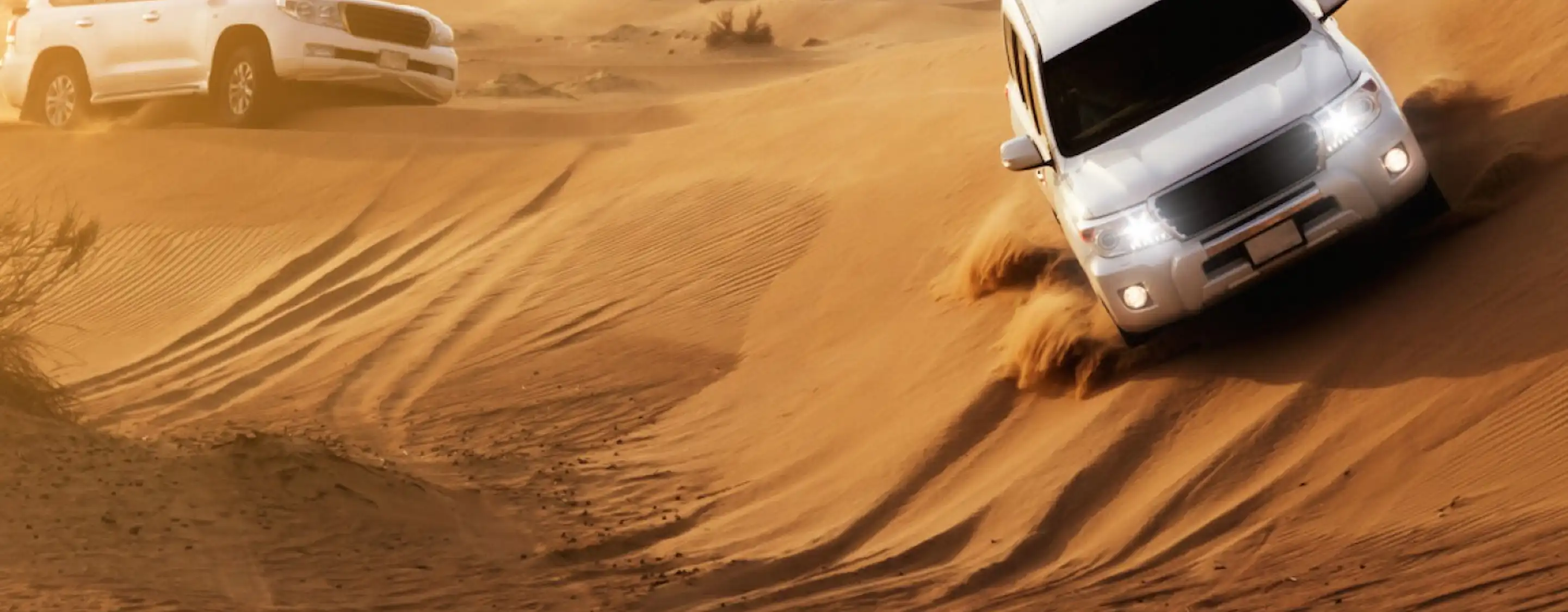Dubai Desert