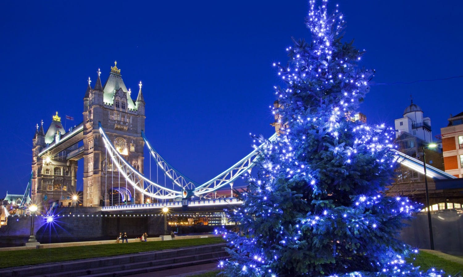 Illuminations of London Tour on Christmas Eve musement