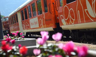 Treno di Sapori: outdoor trip on the banks of Lake Iseo with lunch and tastings