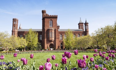 Ver la ciudad,Salir de la ciudad,Tours históricos y culturales,Excursiones de más de un día,Tour por Washington