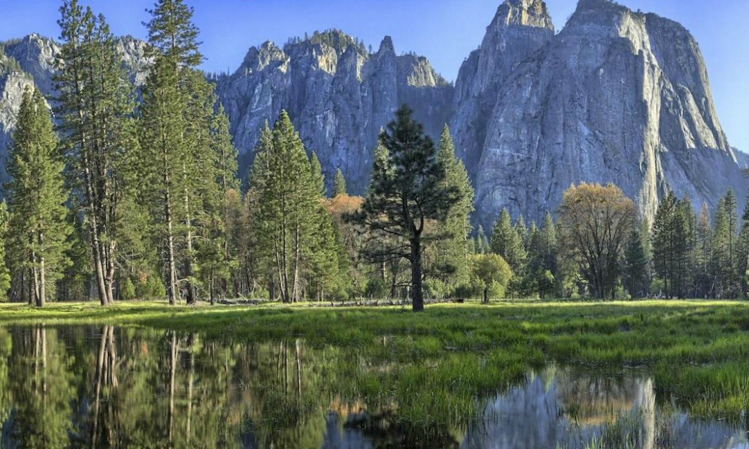 guided tours in yosemite national park