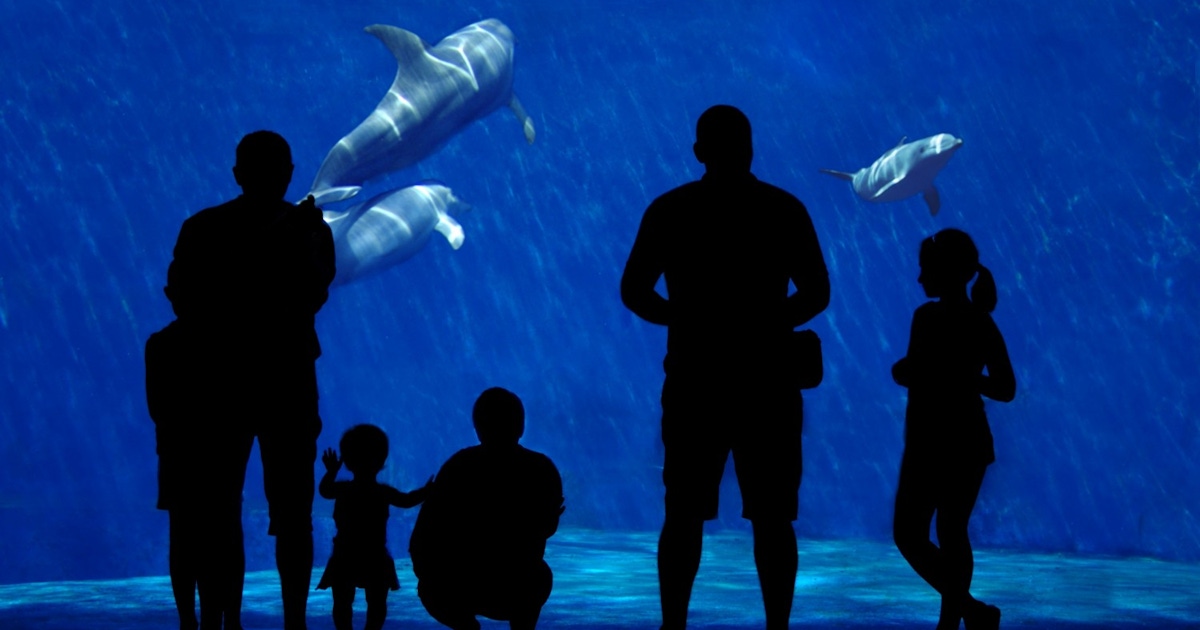 Aquarium of Genoa Tickets and Tours Aquarium of Genoa Tickets and Tours