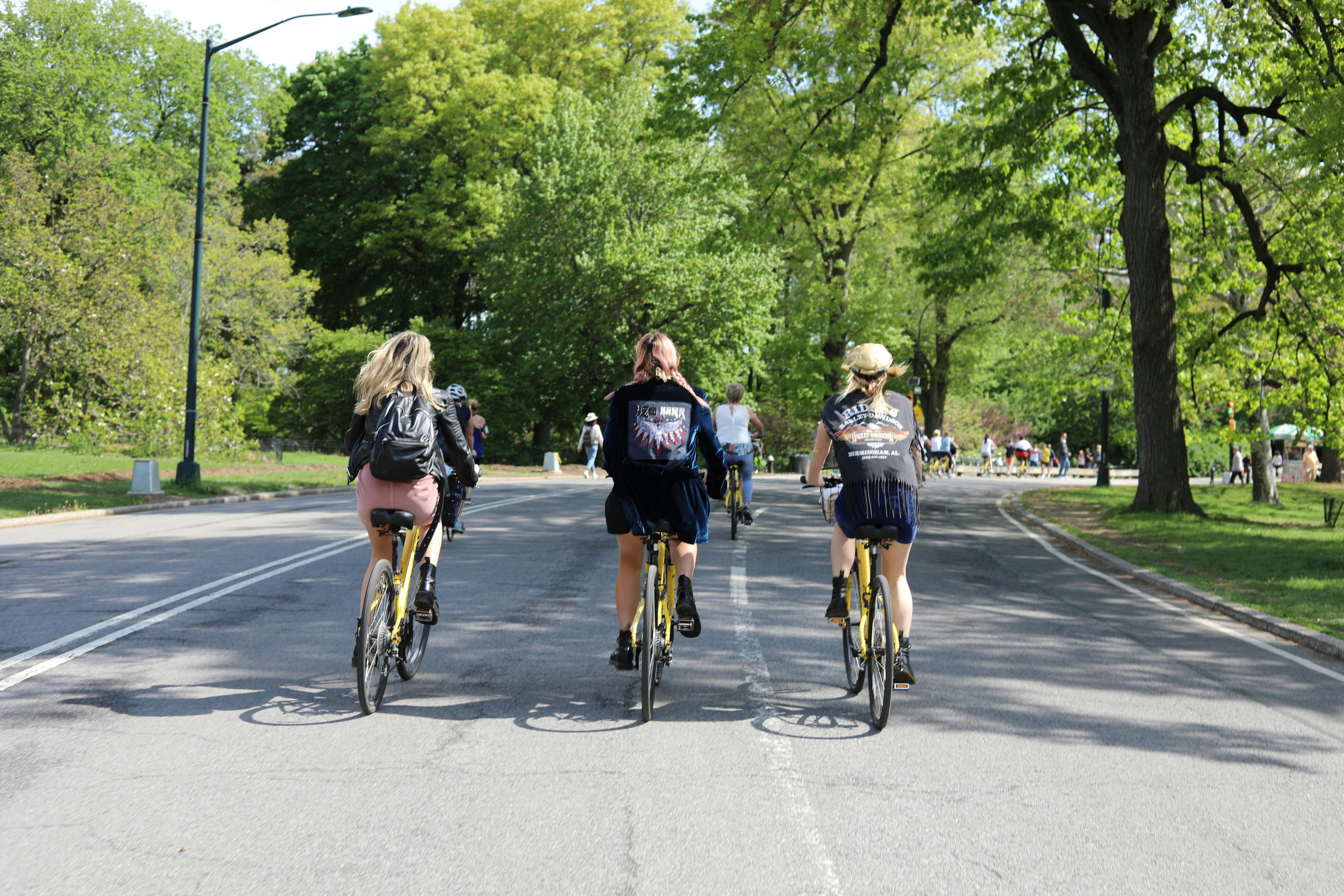 New York City Highlights Bike Tour Musement