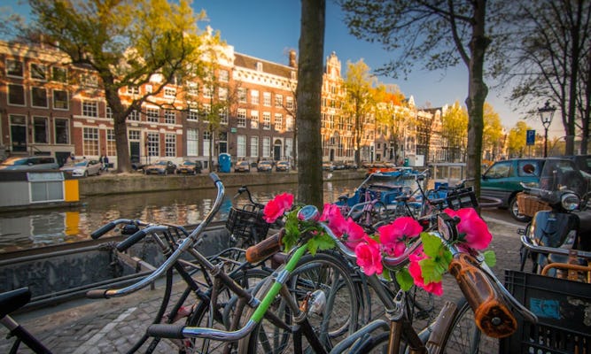3 uur durende privéfietstocht met gids door het centrum van Amsterdam