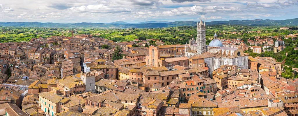 Siena, San Gimignano en Chianti: wijndagtour vanuit Pisa