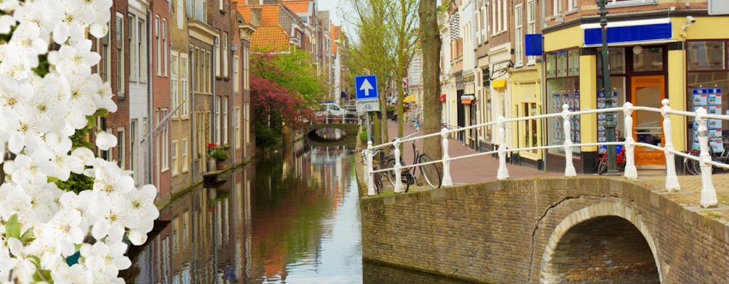 Private Tour zu Fuß durch Delft