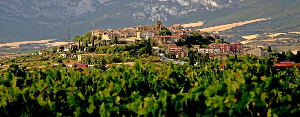 Excursion d'une journée à Vitoria et dans la région viticole de la Rioja