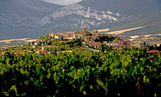 Ganztägige Tour durch die Weingebiete Vitoria und Rioja