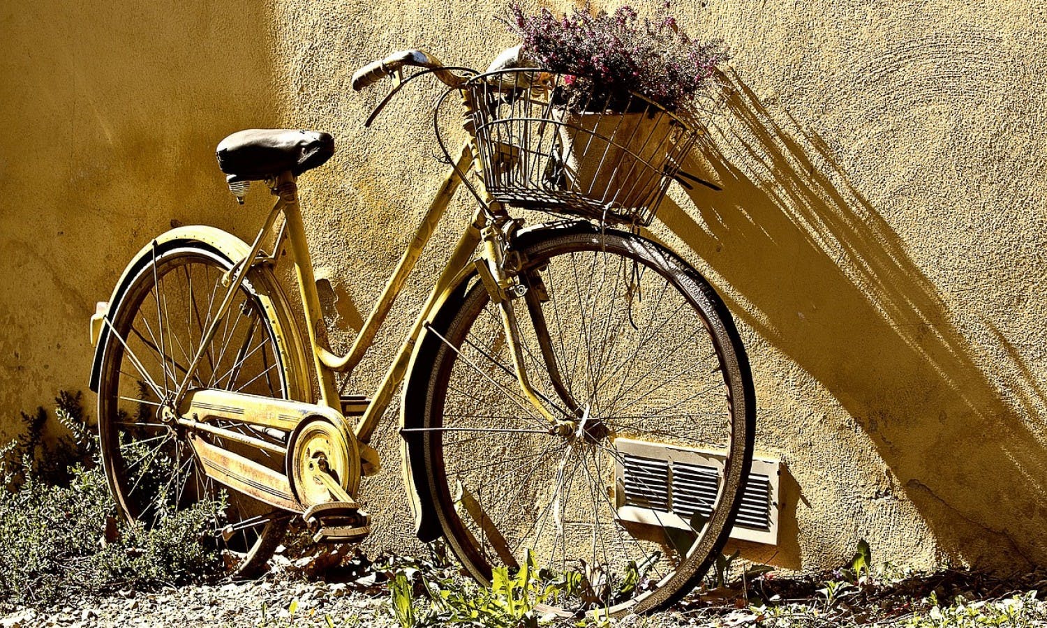 Alquiler de bicis vintage en Bolonia