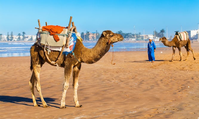 Tagestour von Essaouira von Marrakesch