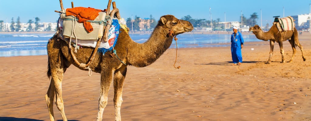 Visite d'Essaouira depuis Marrakech (1 jour)